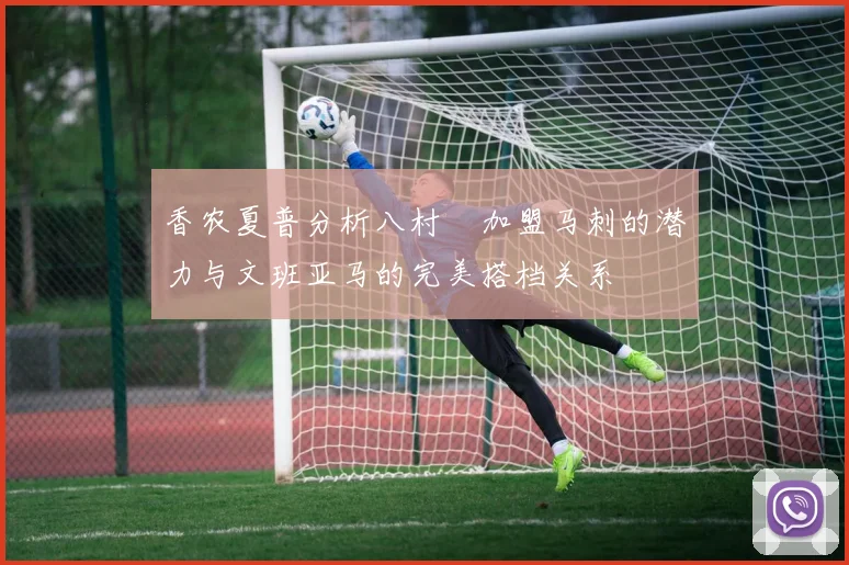 香农夏普分析八村塁加盟马刺的潜力与文班亚马的完美搭档关系